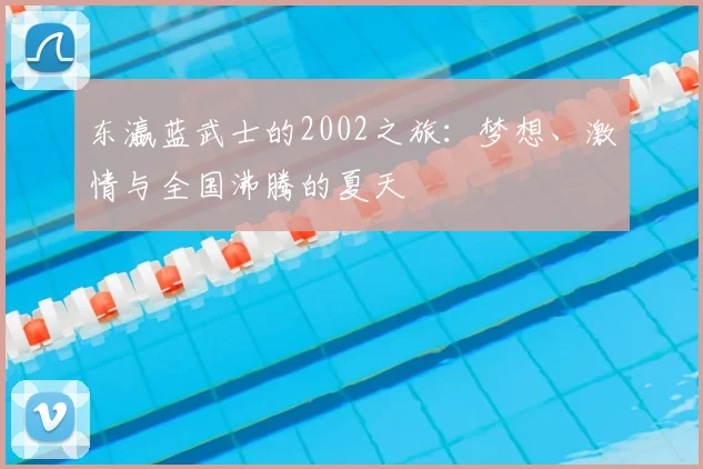 东瀛蓝武士的2002之旅：梦想、激情与全国沸腾的夏天