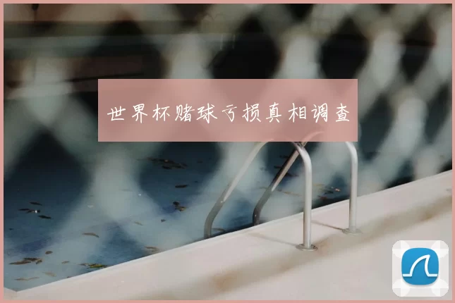 世界杯赌球亏损真相调查