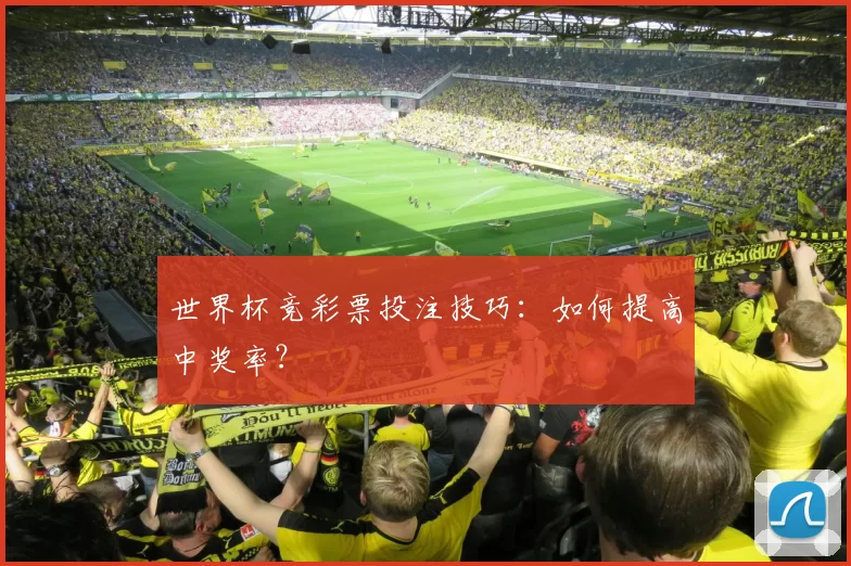 世界杯竞彩票投注技巧：如何提高中奖率？