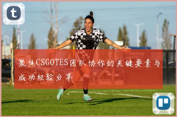 聚焦CSGOTES团队协作的关键要素与成功经验分享
