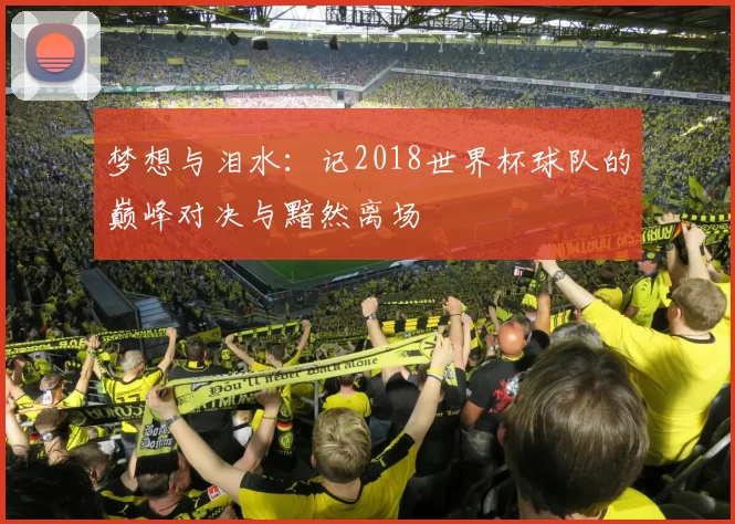 梦想与泪水:记2018世界杯球队的巅峰对决与黯然离场