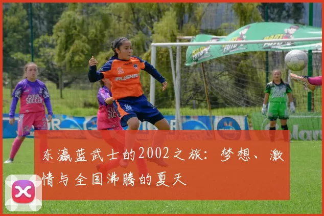 东瀛蓝武士的2002之旅：梦想、激情与全国沸腾的夏天