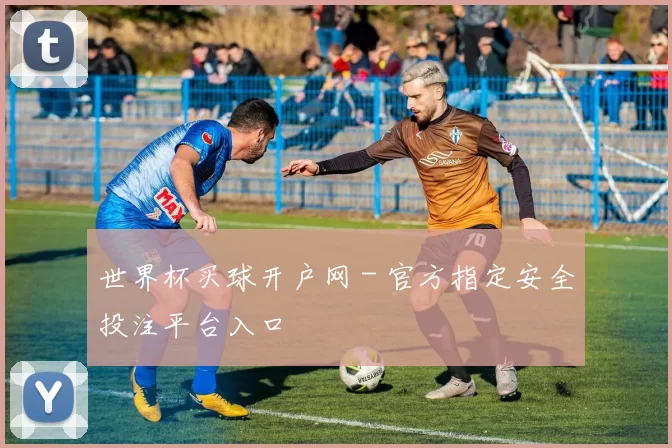 世界杯买球开户网 - 官方指定安全投注平台入口