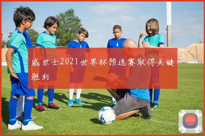 威尔士2021世界杯预选赛取得关键胜利